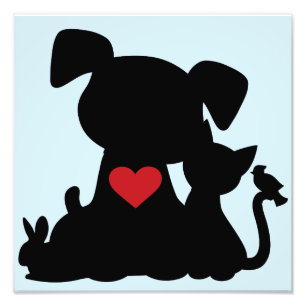 Foto Love Puppy and Kitten Silhouette Blue