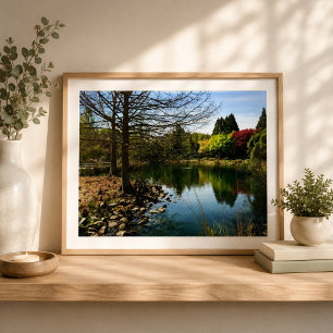 Foto Lovely View do lago