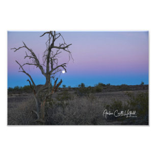 Foto Lua azul-púrpura do deserto
