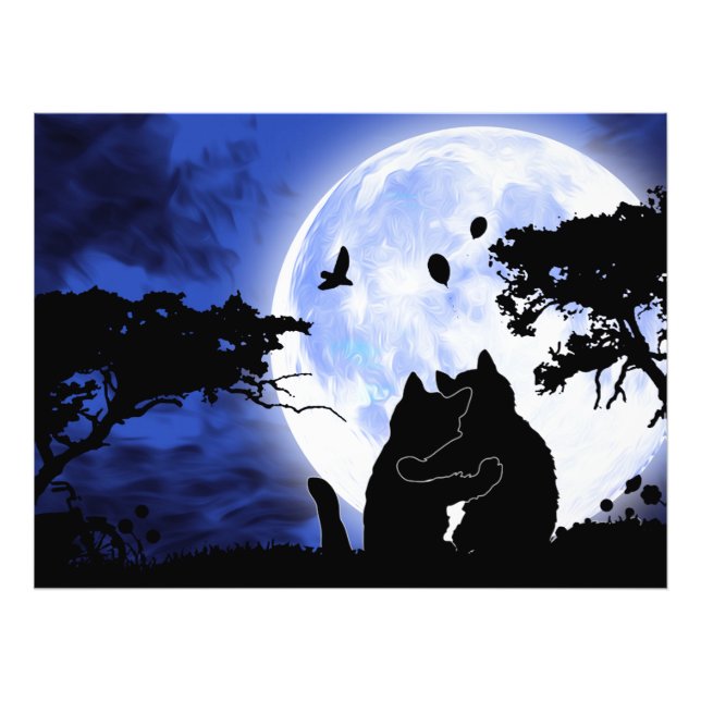 Foto lua cheio de gatos (Frente)