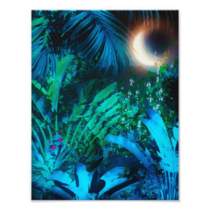 Foto Lua Noite Tropical Selva Deixa Azul Prateado