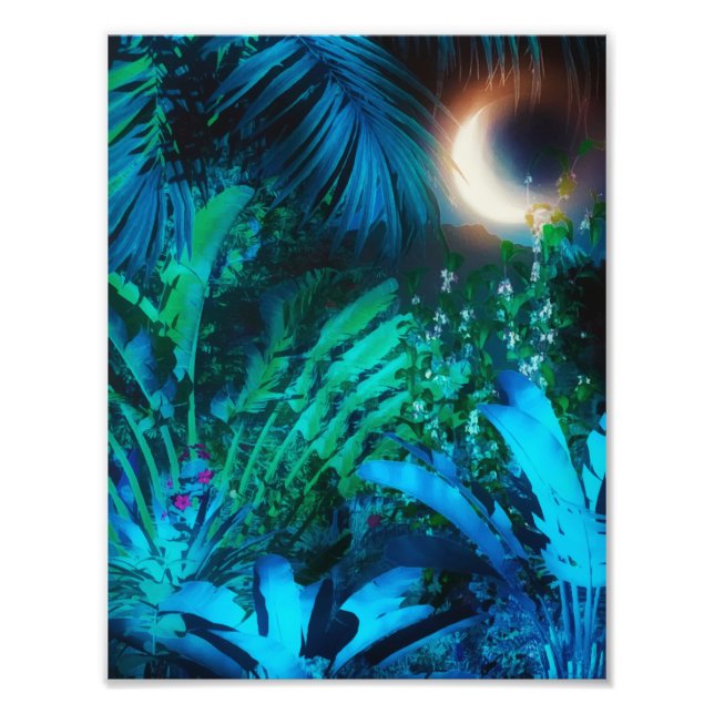 Foto Lua Noite Tropical Selva Deixa Azul Prateado (Frente)
