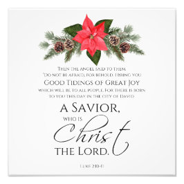 Foto Luke 2:10-11 Bons Tidings Poinsettia Natal