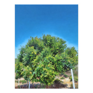 Foto Lush Green Tree Against Vibribric Blue Sky