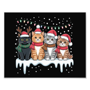 Foto Luz de Natal de Gato Rena Santa Amante de Gato