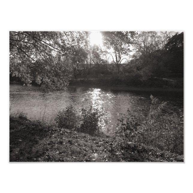 Foto Luz do sol sobre os Taff, Bute Park, Cardiff (Frente)