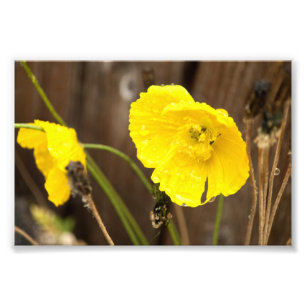 Foto Luz do sol umedecida