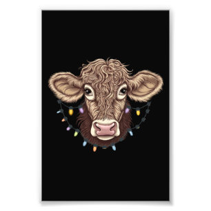 Foto Luzes de Natal Amante de Vaca Fazenda Fazendeiro X