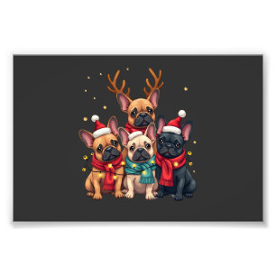 Foto Luzes de Natal Bulldogs Franceses Cachorro Xmas Fr