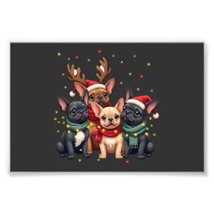 Foto Luzes de Natal Bulldogs Franceses Cachorro Xmas Fr