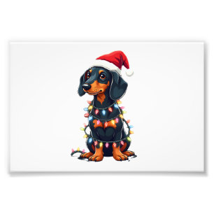 Foto Luzes de Natal Dachshund Chapéu do Papai Noel Amor