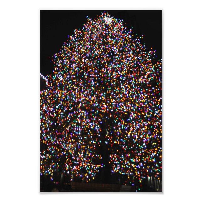 FOTO LUZES DE NATAL NA ROCHA (Frente)