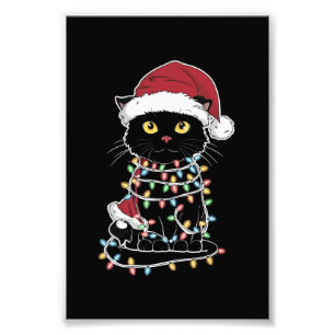 Foto Luzes de Natal para Amante de Gatos Divertidos