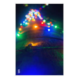 Foto Luzes em uma árvore