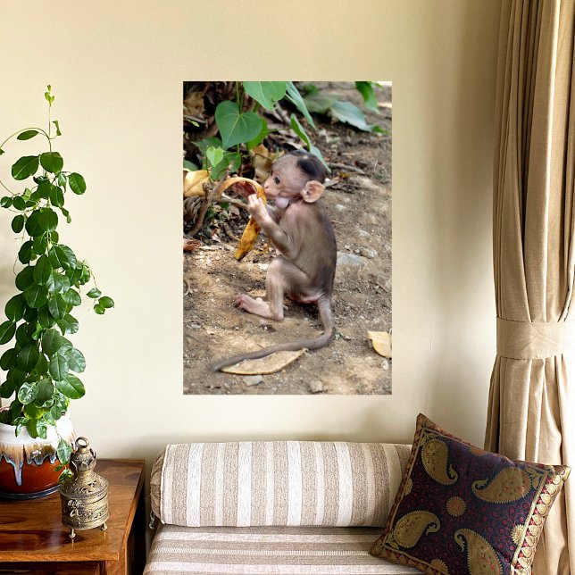 Foto Macaco-Bebê (Criador carregado)