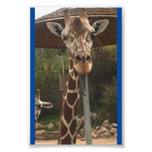 Foto Macaco garoto 4X6 Impressão nº 2 (Frente)