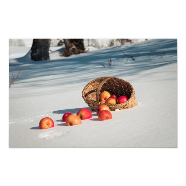 Foto Maçãs na neve (Frente)