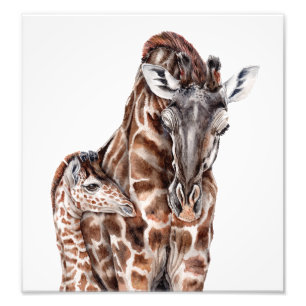 Foto Madre Girafa com o bebê Girafa Impressão de arte