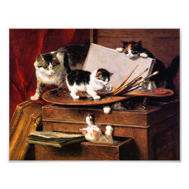 Foto Mãe Gato e Gatinhos na Mesa (Frente)