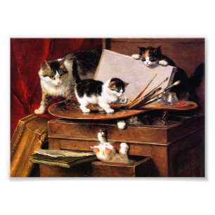 Foto Mãe Gato e Gatinhos na Mesa