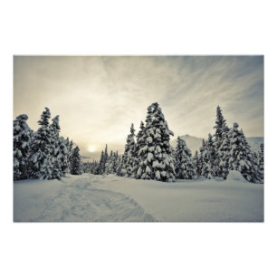 Foto Magia de inverno