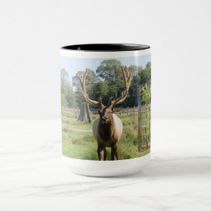 Foto magnífica de Bull Elk na caneca combo 15oz