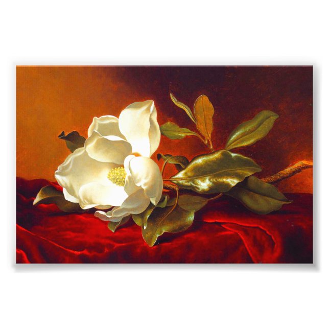 Foto Magnolia em Red Velvet Martin Johnson Heade (Frente)