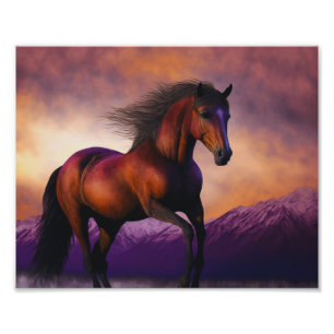 Foto Maiestoso Cavalo Stallion Animal Mountain Sunset