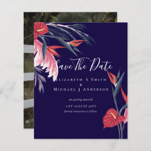 FOTO MAIS BARATA Salvar Datas Pampas Grass Tropica