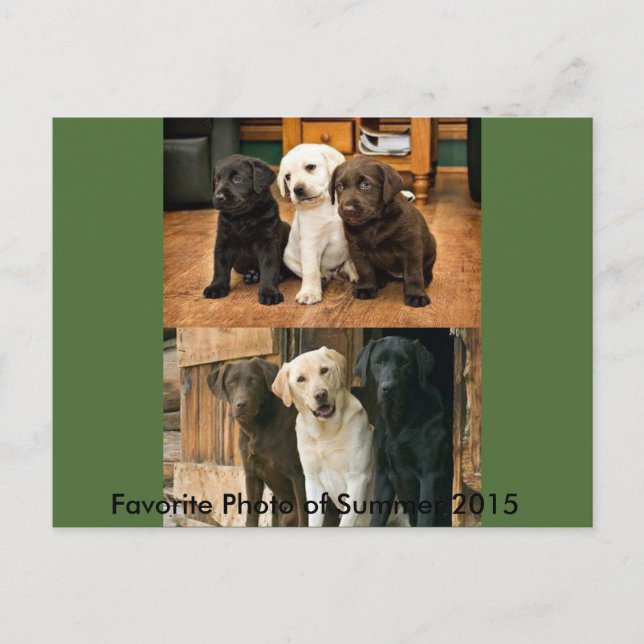 Foto Mais Favorita de 2015: Cartão Postal (Frente)