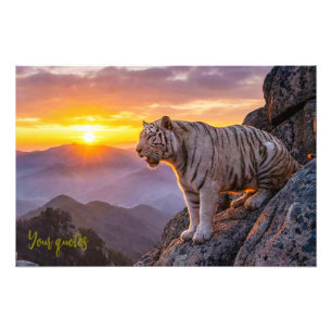 Foto Majestoso pôr do sol do tigre branco 