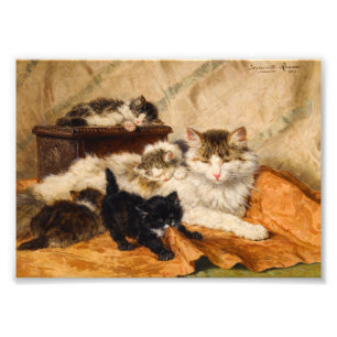 Foto Mamãe e Seus Gatinhos
