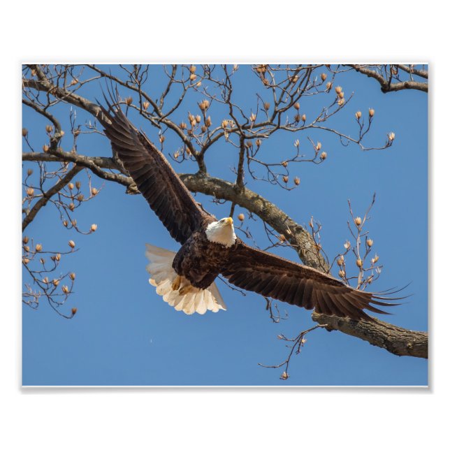 Foto Mamma Flies (Frente)