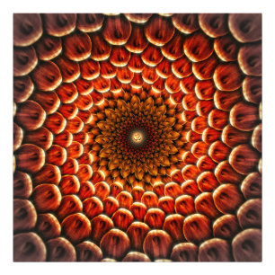 Foto Mandala cura OM da flor
