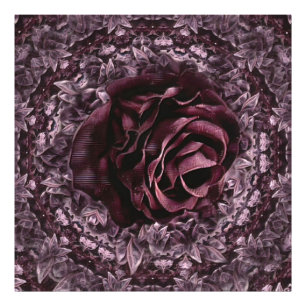 Foto Mandala de Rosa