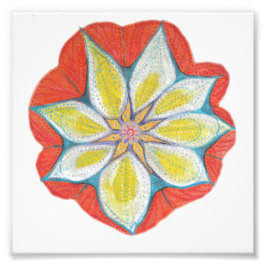 Foto Mandala Kodak Professional Photo Paper (Satin)