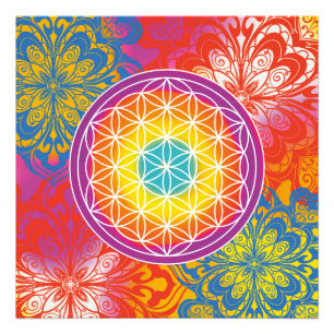 Foto Mandala zen flor da vida