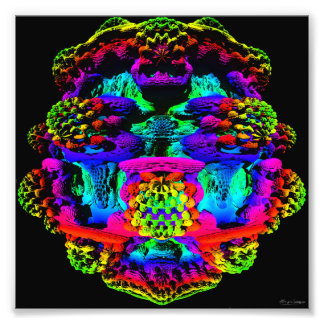 Foto Mandelbulbo 1 impressão