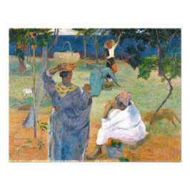 Foto Mango Trees, Martinica 1887, por Paul Gauguin