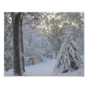 Foto Manhã do inverno de Nova Inglaterra