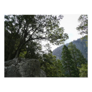 Foto Manhã na trilha para as quedas vernais em Yosemit