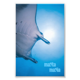 Foto Manta ray