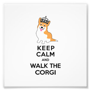 Foto Mantenha a calma e ande o cão bonito do Corgi