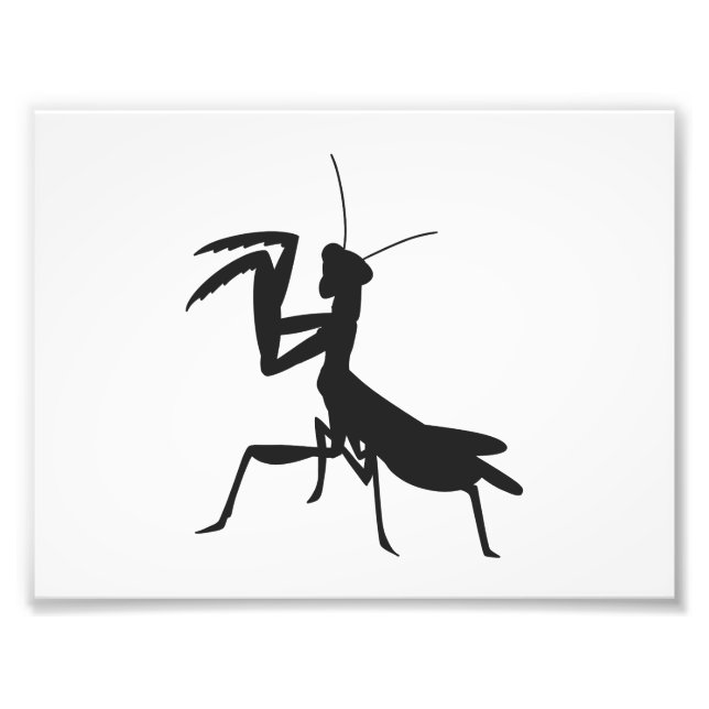 Foto Mantis na silhueta - Escolha a cor de fundo (Frente)