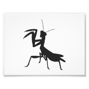 Foto Mantis na silhueta - Escolher cor de fundo