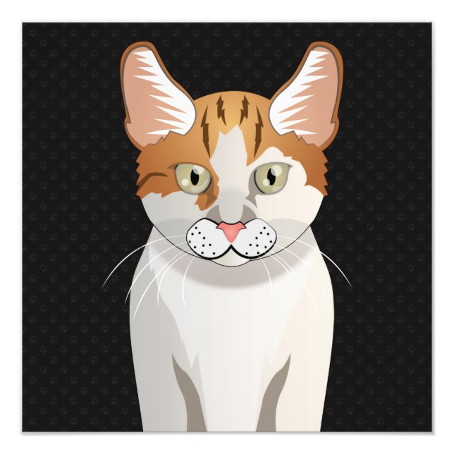 Foto Manx Cat Cartoon Paws (Frente)