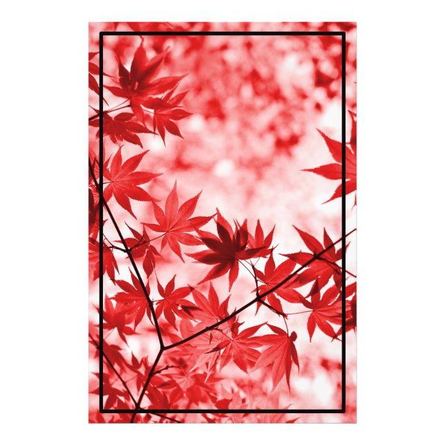 Foto Maple Trees Deixa Design (Frente)