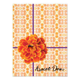 Foto Marigolds e Bee