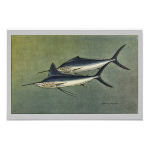 Foto Marlin ou Spearfish Vintage Fish Impressão