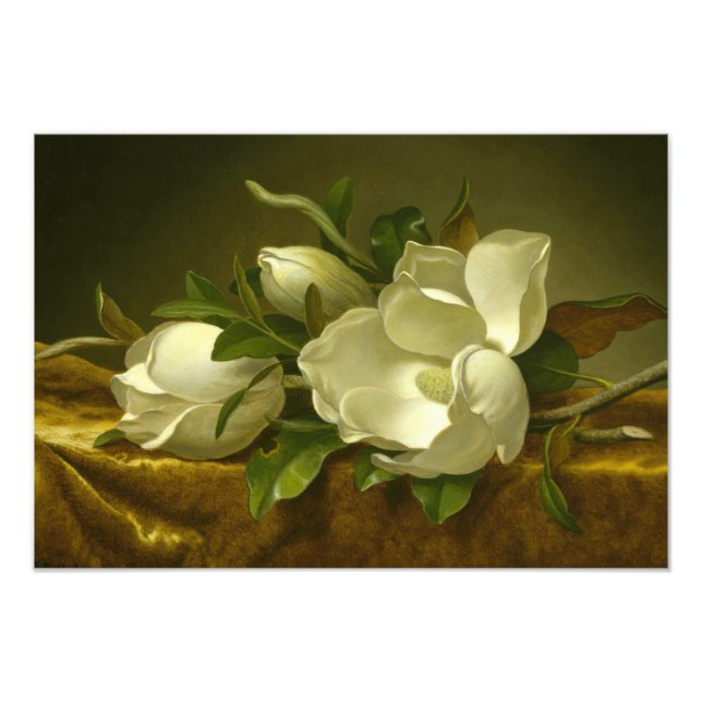 Foto Martin Johnson Heade - Magnolias em Velvet Dourado (Frente)